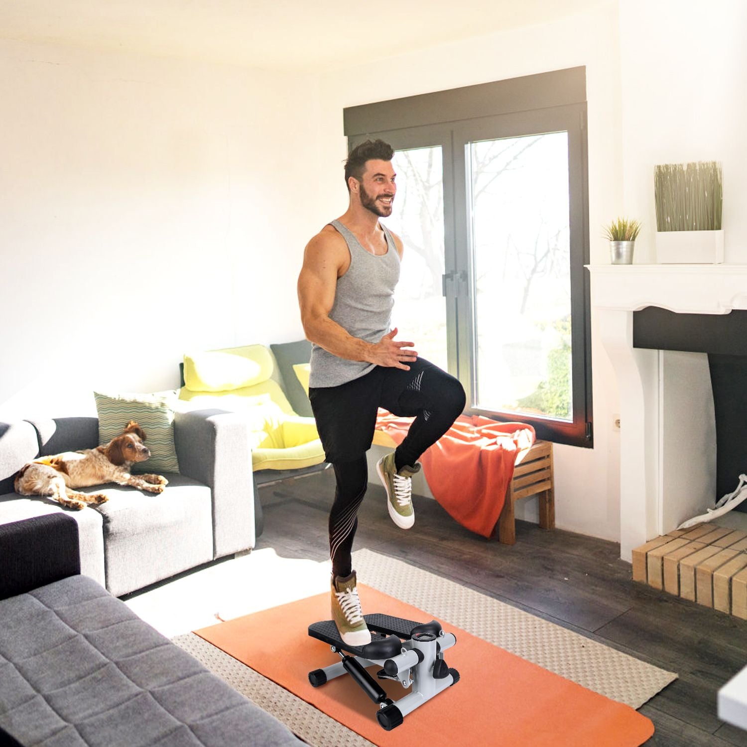 Mini Fitness Stepper